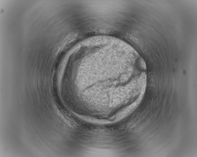 X0000088830738200707051421