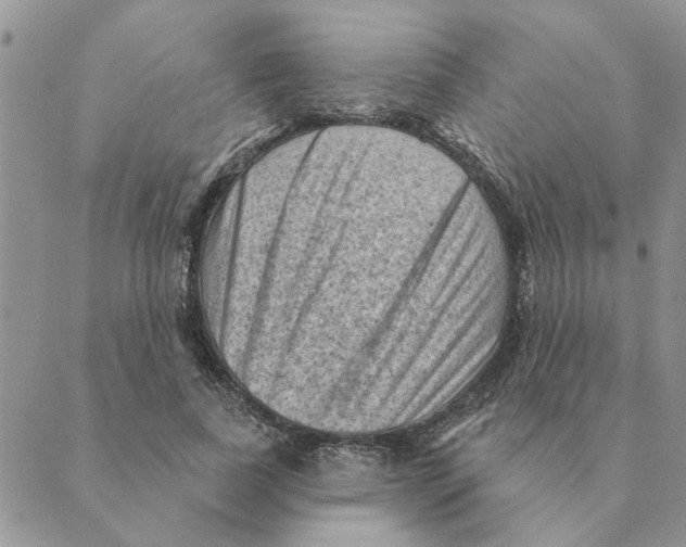 X0000088830739200707051421