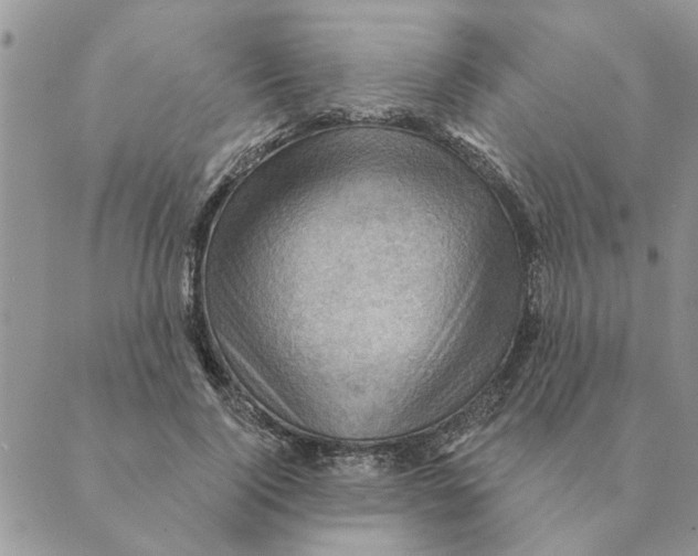 X0000088830740200707051421