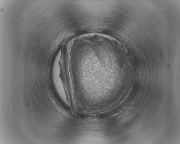 X0000088830742200707051421