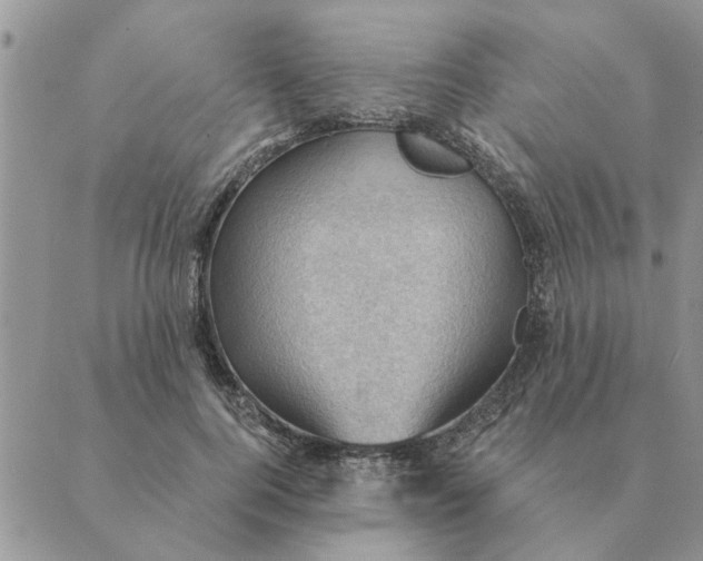 X0000088830744200707051421