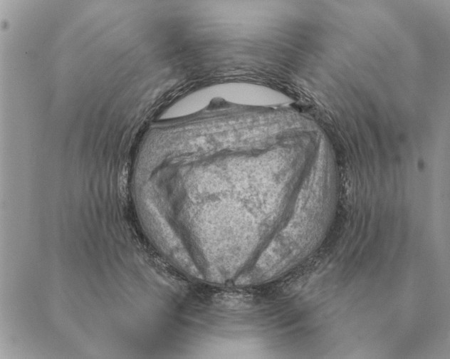 X0000088830745200707051422