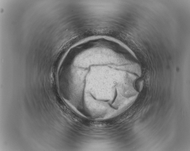 X0000088830746200707051422