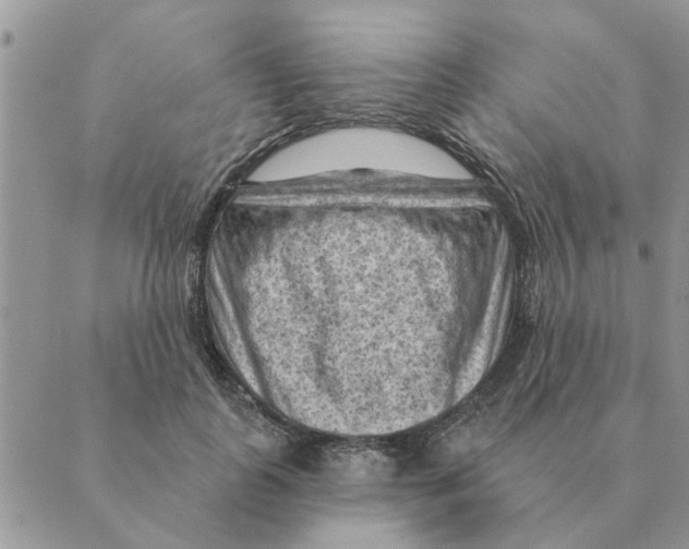 X0000088830747200707051422