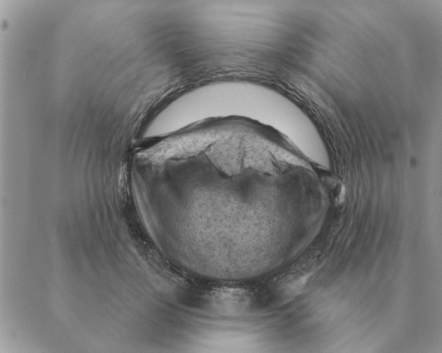 X0000088830748200707051422