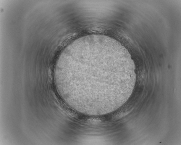 X0000088830749200707051422