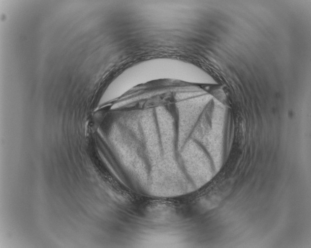 X0000088830750200707051422