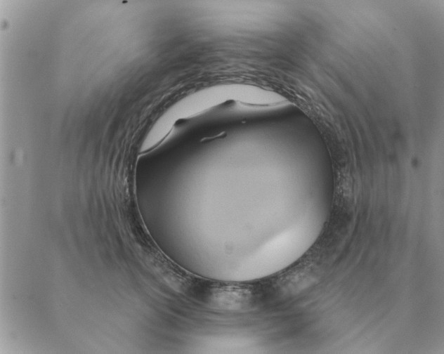 X0000088830754200707051422