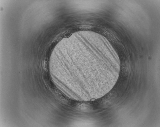 X0000088830755200707051422