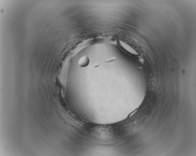 X0000088830756200707051422