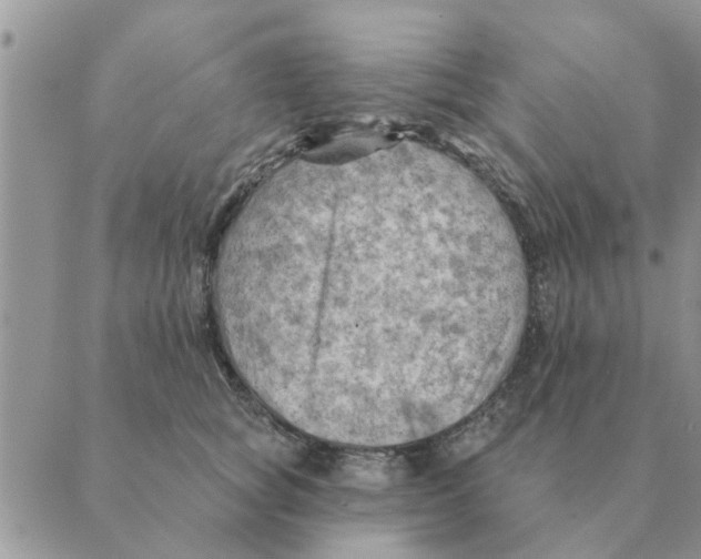 X0000088830757200707051422