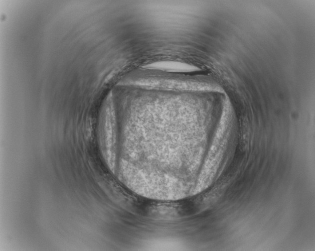 X0000088830758200707051422