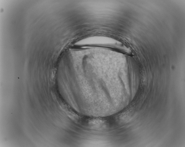 X0000088830759200707051422