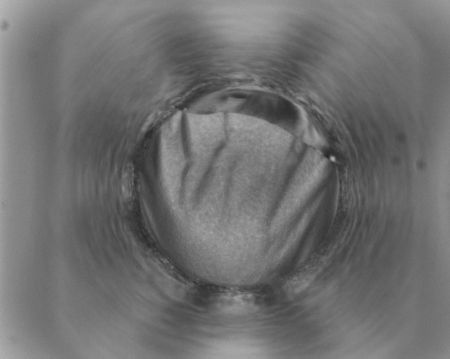 X0000088830760200707051422