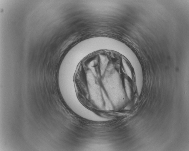 X0000088830762200707051422