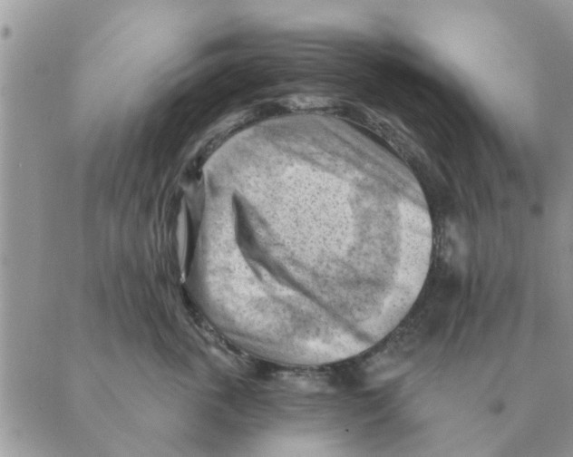 X0000088830763200707051422