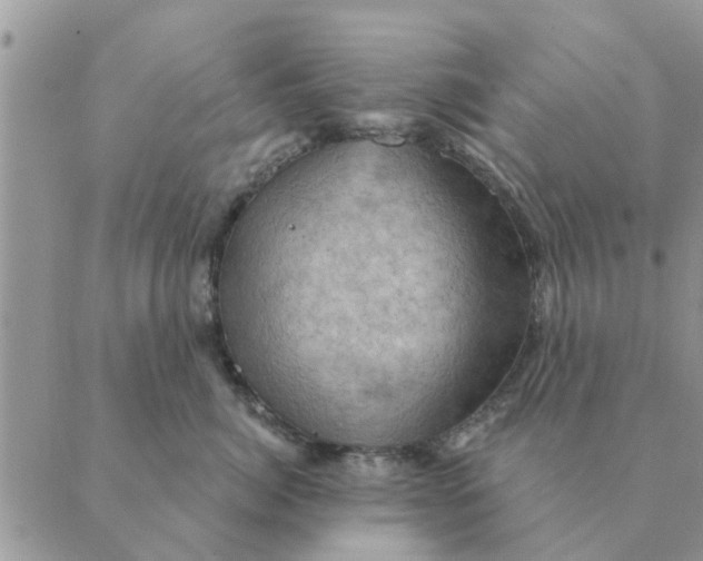 X0000088830764200707051422