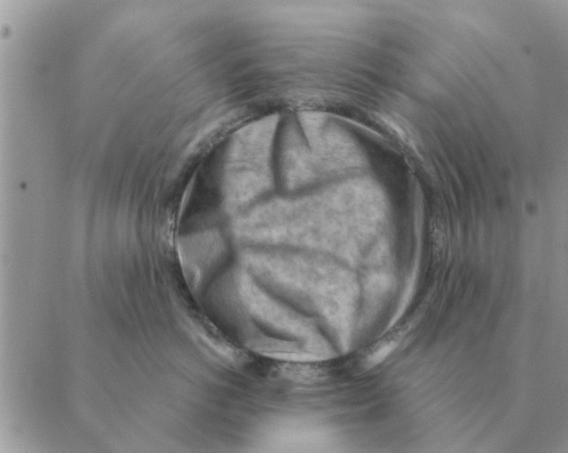 X0000088830766200707051422