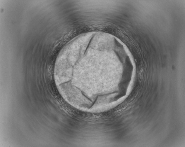 X0000088830772200707051421