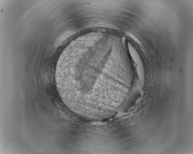 X0000088830775200707051421