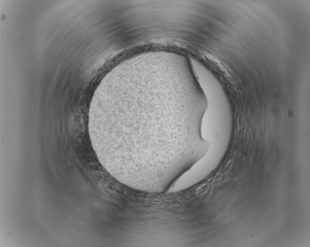 X0000088830776200707051421