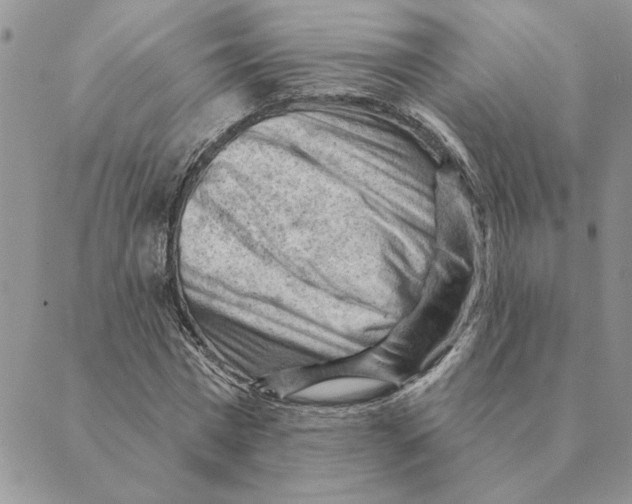 X0000088830777200707051421