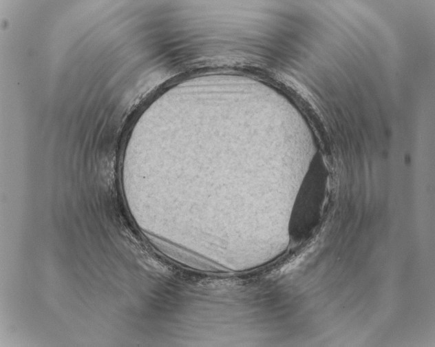 X0000088830778200707051421