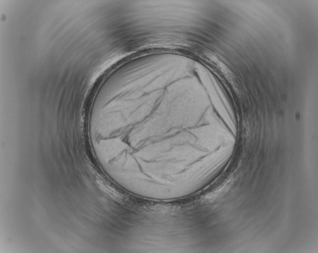 X0000088830779200707051421