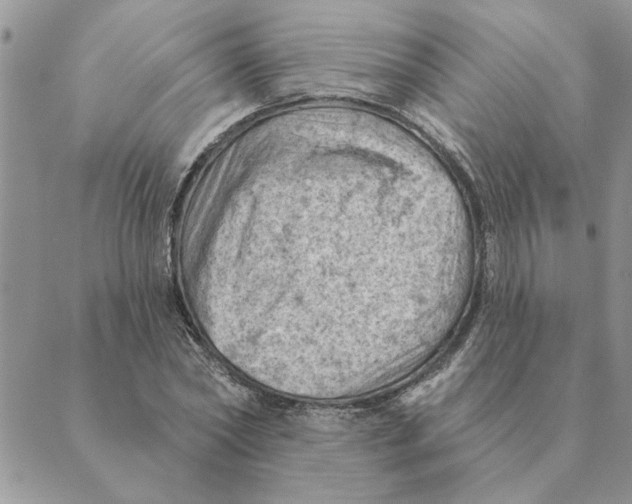 X0000088830782200707051421