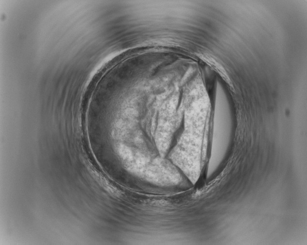 X0000088830784200707051421