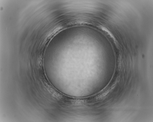 X0000088830785200707051421