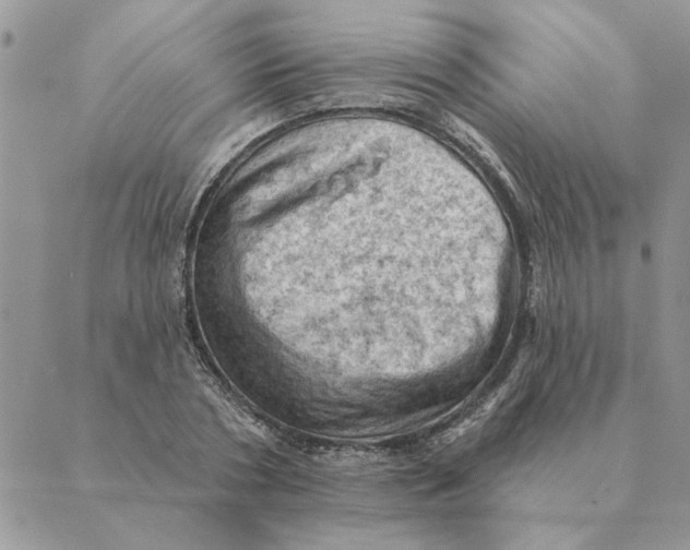 X0000088830786200707051421