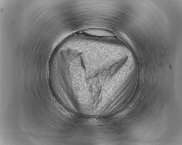 X0000088830787200707051421