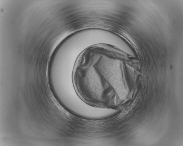 X0000088830788200707051421