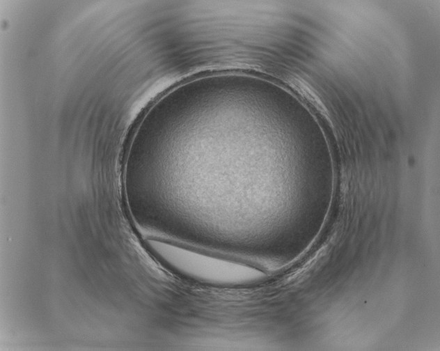 X0000088830789200707051421