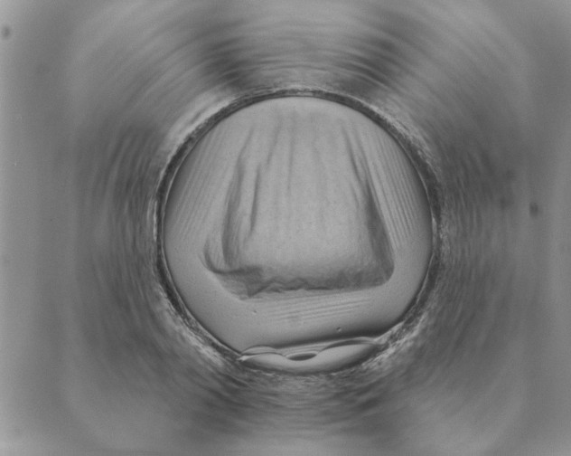 X0000088830790200707051421