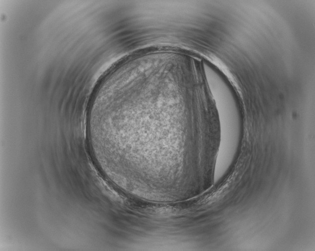 X0000088830791200707051421