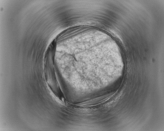 X0000088830792200707051421