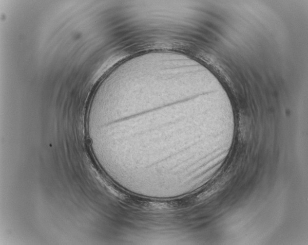 X0000088830794200707051421