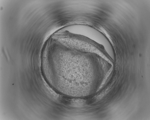 X0000088830795200707051421