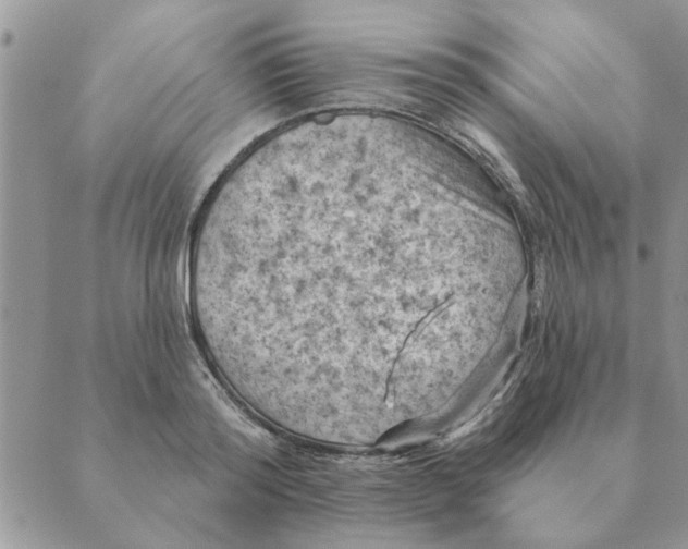 X0000088830796200707051421