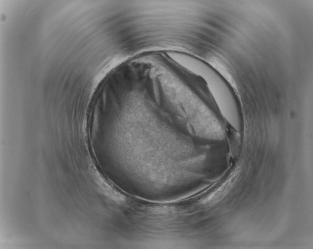 X0000088830797200707051421