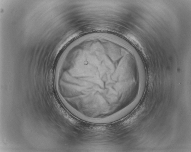 X0000088830798200707051421