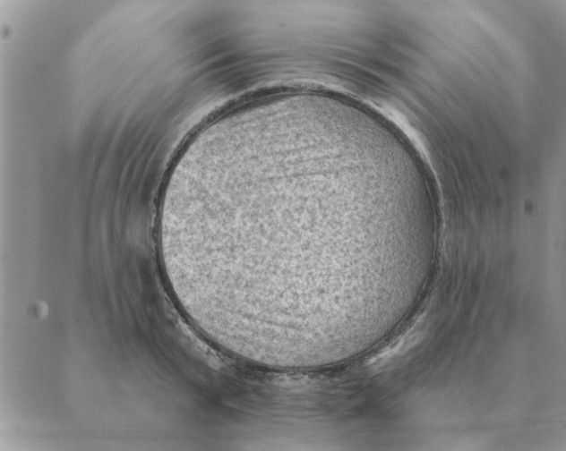 X0000088830799200707051421