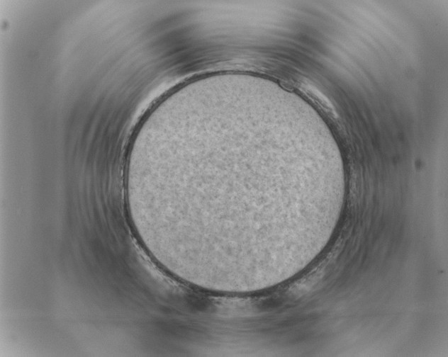 X0000088830800200707051421