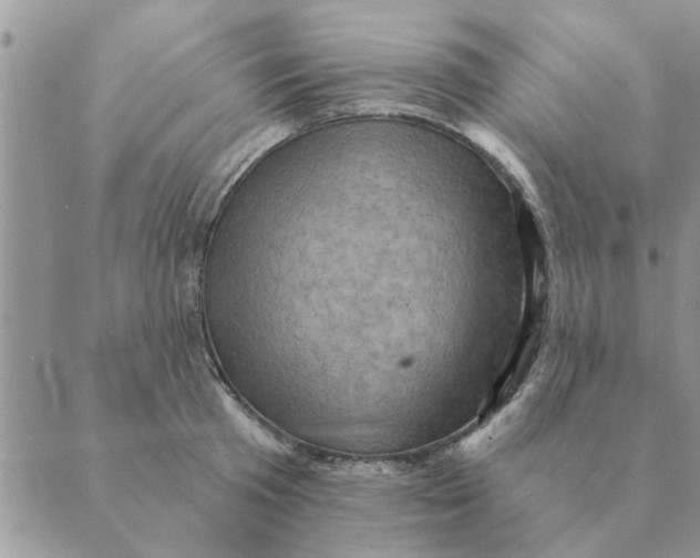 X0000088830801200707051421