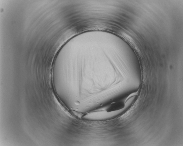 X0000088830802200707051421