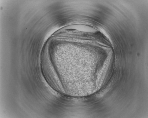 X0000088830803200707051421