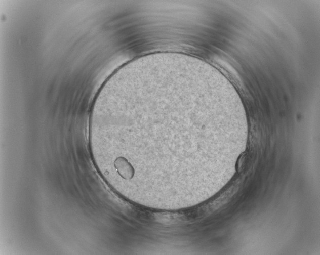 X0000088830804200707051421