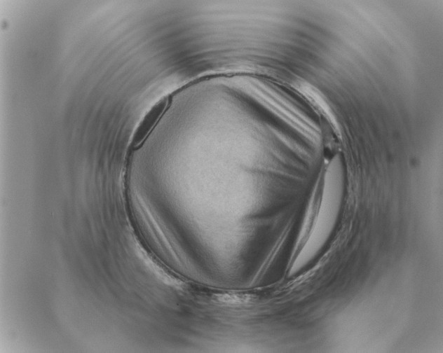 X0000088830805200707051421